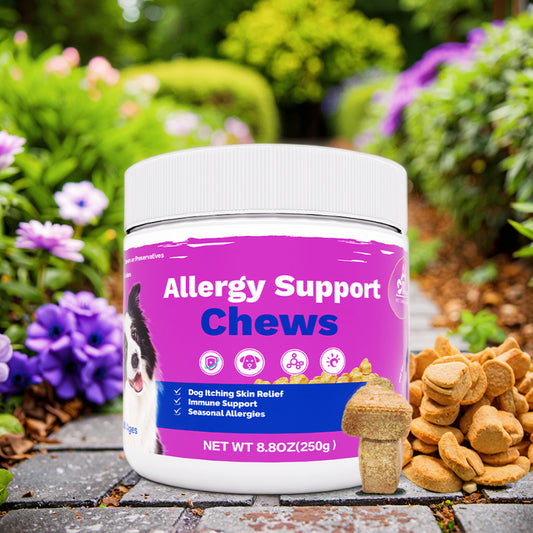 Allergy Itch Relief Anti-Shedding Dog Chews Treat Skin Coat Supplement for Pets Hot Spots Treatment Pet Health Care Supplement