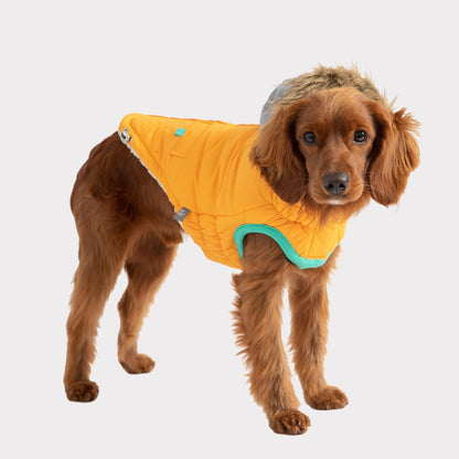 TD GF Classic Pet Sailor Parka Winter Fleece Coat in XS XL XXL for Cats and Dogs Floral and Solid Patterns Available