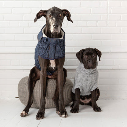 TD GF Luxury Pet Coat Elasto-Fit Denim Dog Jacket in XS XL XXL Winter Style Solid Pattern Cute Polyester Cloth Accessories
