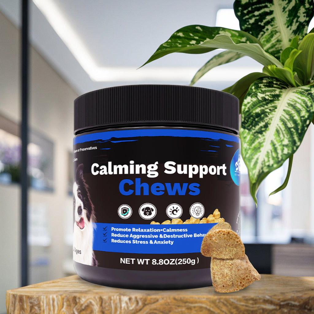 Kalbconzo Calming Support Chews Chicken Flavor 100 Pieces 250g/tank Anxiety Relief Calming Chews for Dogs Pet Calming Chews