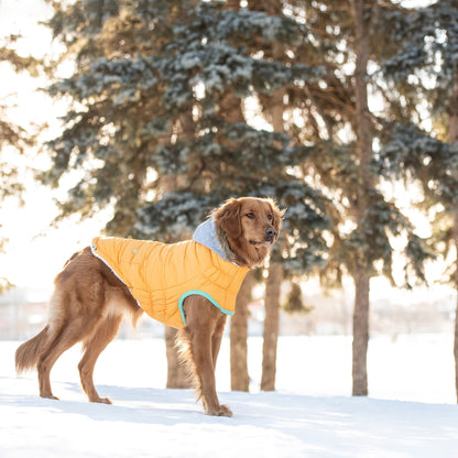 TD GF Classic Pet Sailor Parka Winter Fleece Coat in XS XL XXL for Cats and Dogs Floral and Solid Patterns Available
