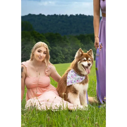 TD Pet Clothes Wildflower Meadow Dog Bandana