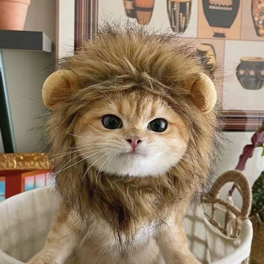 Lion Head Costume for Cats and Small Dogs with Soft Comfortable Material and Adjustable Fit for Winter Pet Apparel