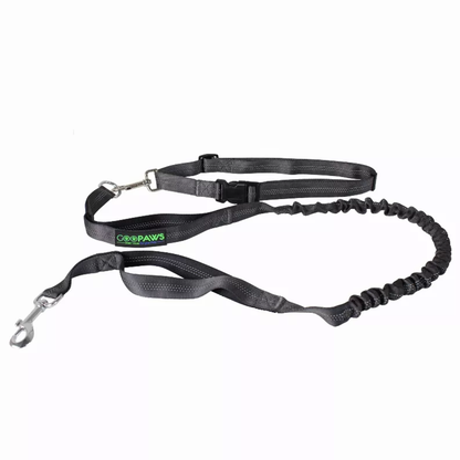 TD JESPET Dual Handle Waist Leash for Medium Large Dogs Hand-Free Running Reflective Bungee Adjustable for Durable Exercise