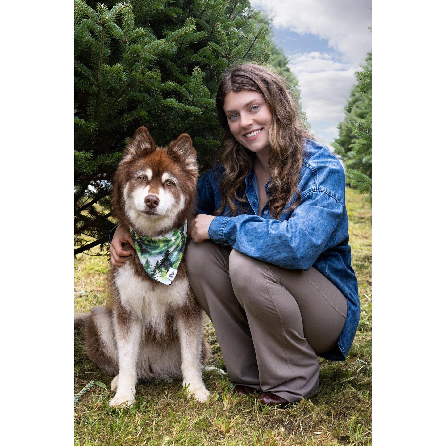 TD Evergreen Explorer Dog Bandana Stylish Pet Clothes for Dogs