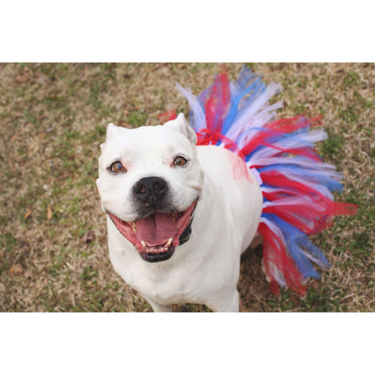 TD XS Size Dog Tutu Skirt in Red/White/Blue for 4th of July Pet Clothes