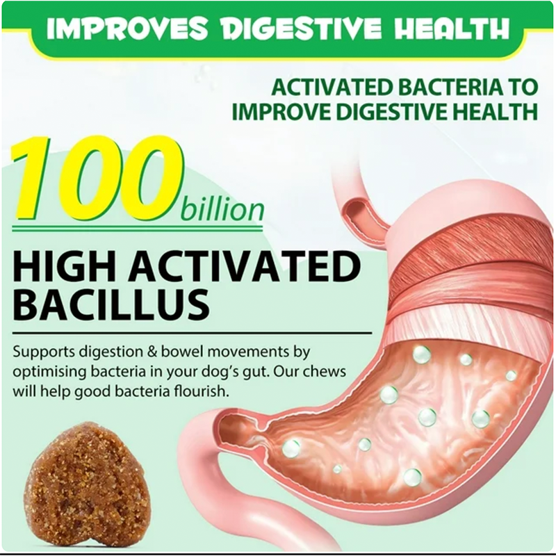 Multifunctional Pet Nutritional Supplements for Dogs Dog Vitamins for Optimal Health Care