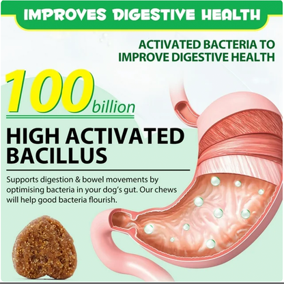 Multifunctional Pet Nutritional Supplements for Dogs Dog Vitamins for Optimal Health Care