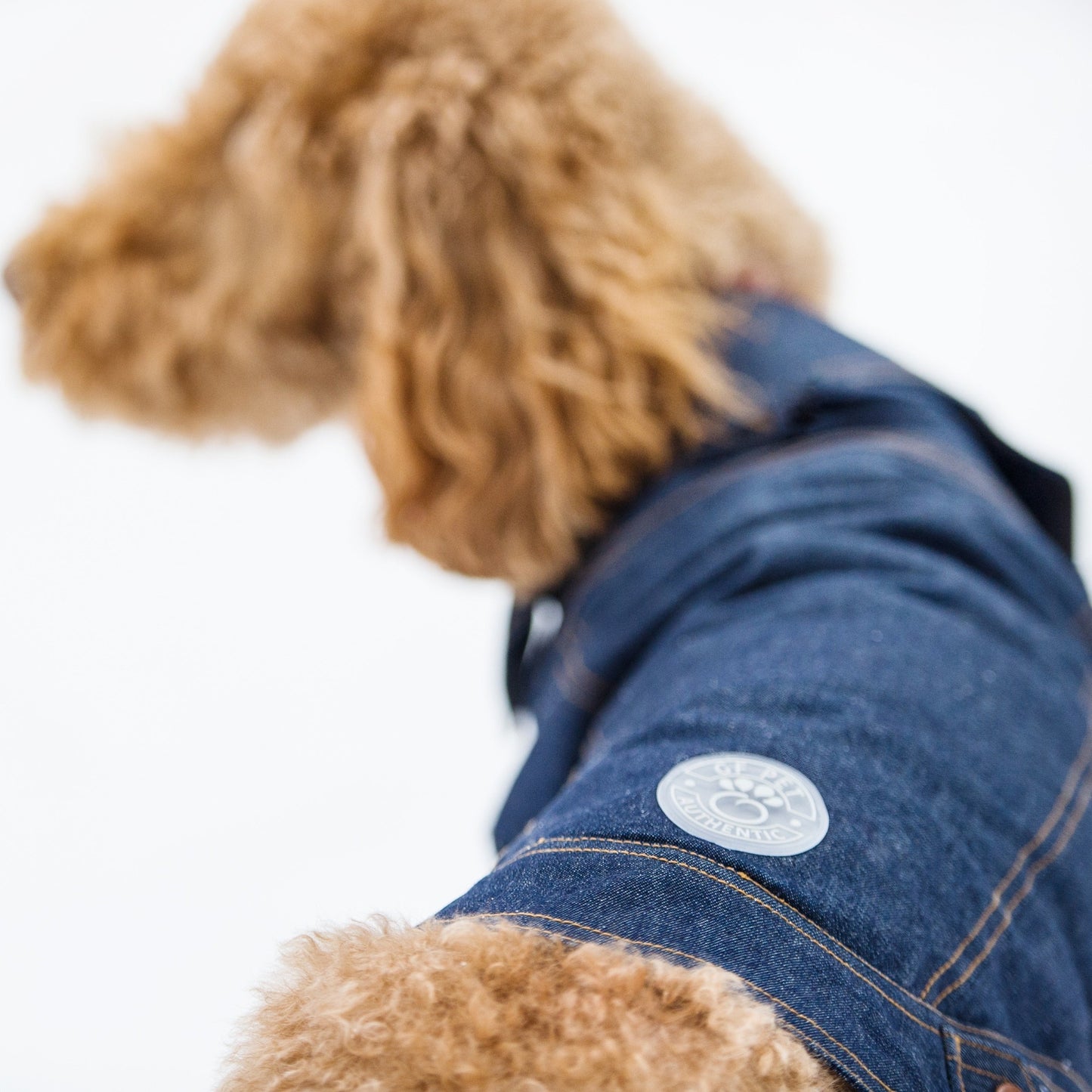 TD GF Luxury Pet Coat Elasto-Fit Denim Dog Jacket in XS XL XXL Winter Style Solid Pattern Cute Polyester Cloth Accessories