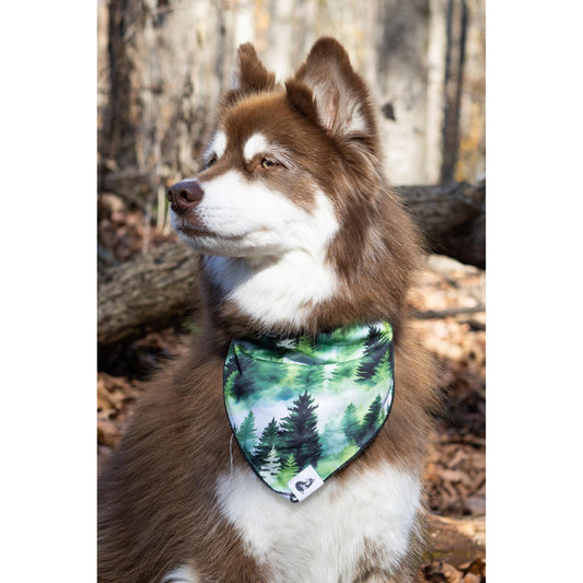 TD Evergreen Explorer Dog Bandana Stylish Pet Clothes for Dogs