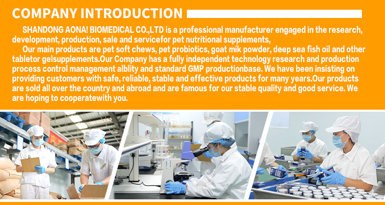 Multifunctional Pet Nutritional Supplements for Dogs Dog Vitamins for Optimal Health Care