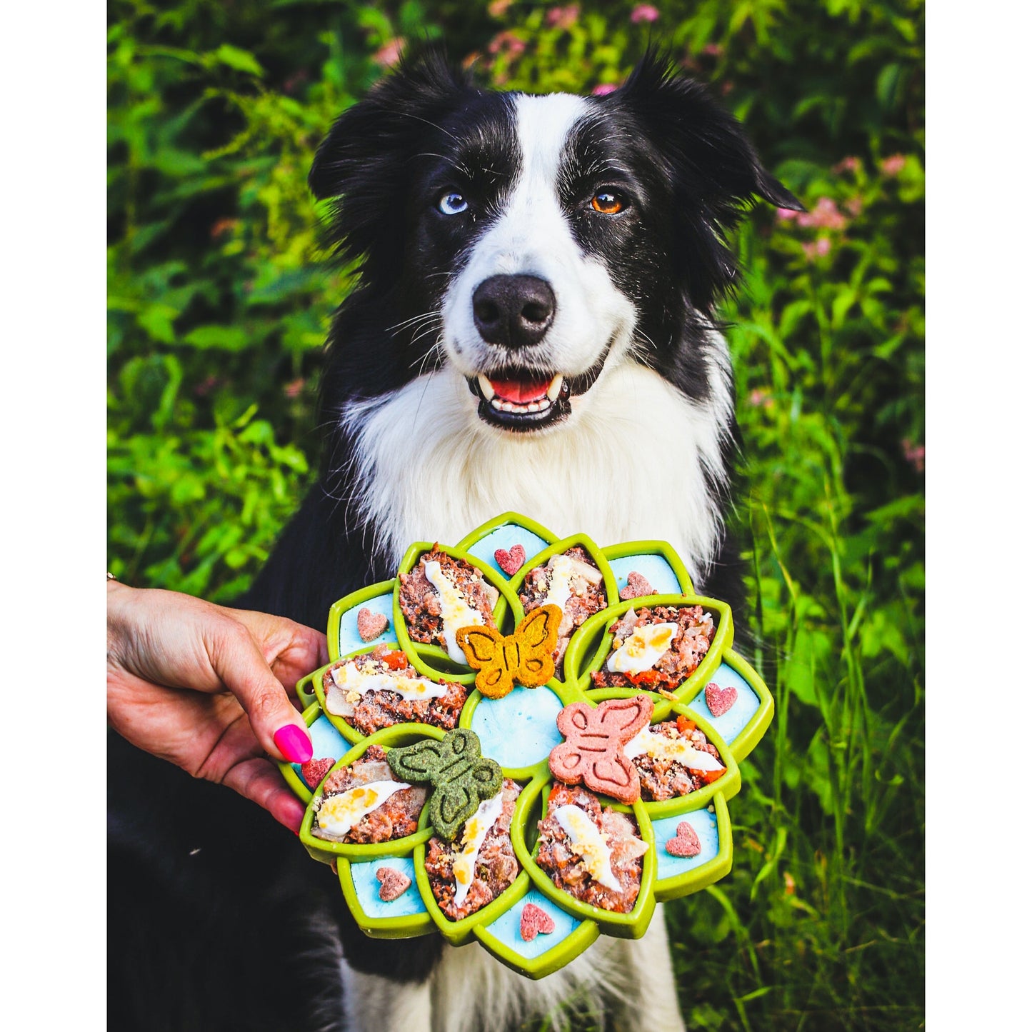 TD 2-in-1 ETray Mandala Design Silicone Outdoor Travel Bowls for Cats and Dogs Enrichment Tray for Animals' Food