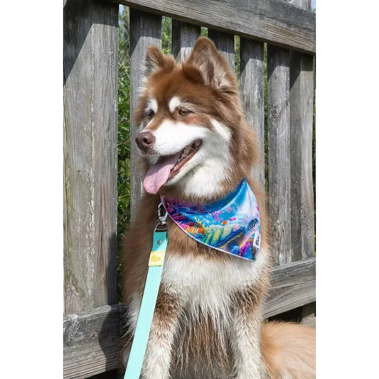TD Pet Clothes Sea Turtle Swim Dog Bandana