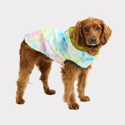 TD GF Classic Reversible Pet Raincoat Polyester XS to XL Free Sample Dog Accessory for Chinese New Year and Halloween Seasons