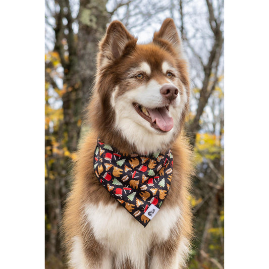 TD Woodland Tales Dog Bandana Stylish Pet Clothes for Canine Fashionistas