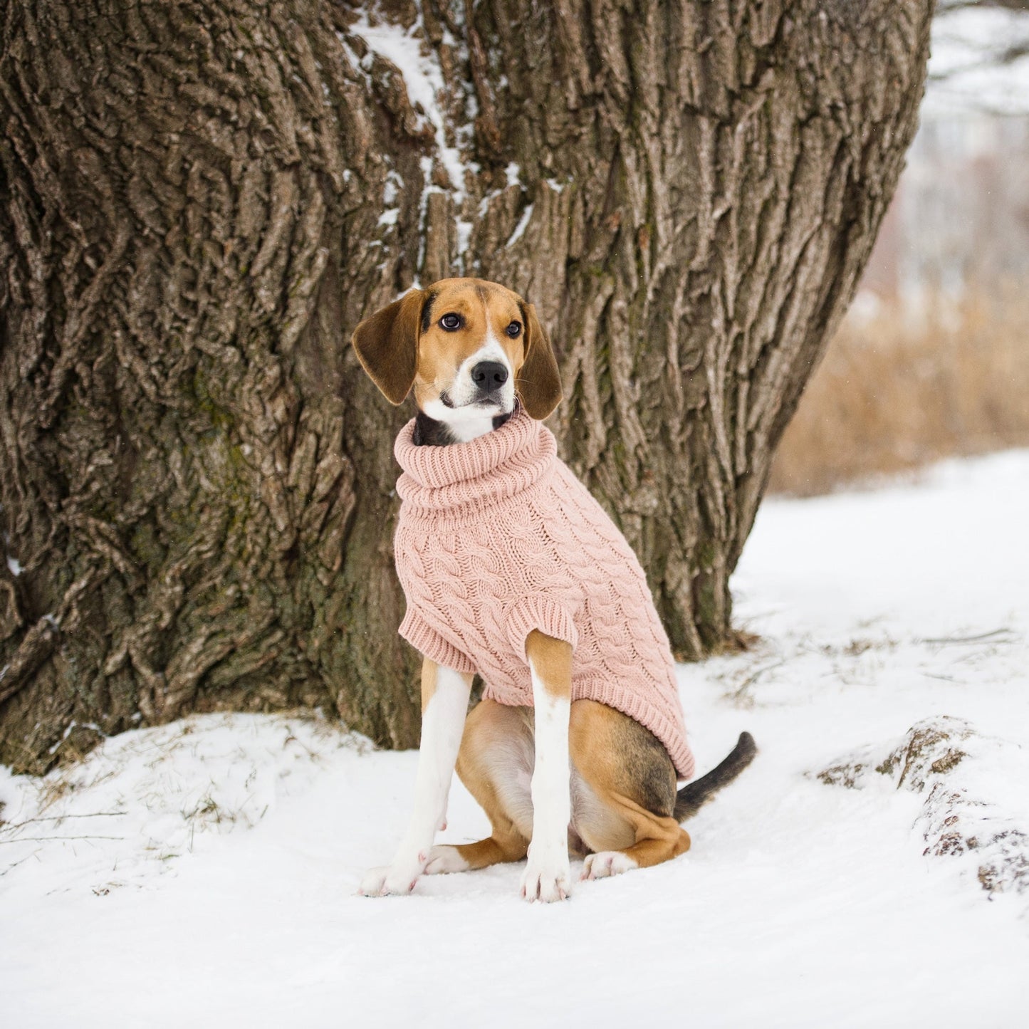 TD GF Elegant Luxury Pet Chalet Dog Sweater XS-XXL Autumn Accessory Bamboo Latex Corduroy Material XS-XXL